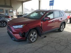 Toyota Rav4 salvage cars for sale: 2022 Toyota Rav4 XLE