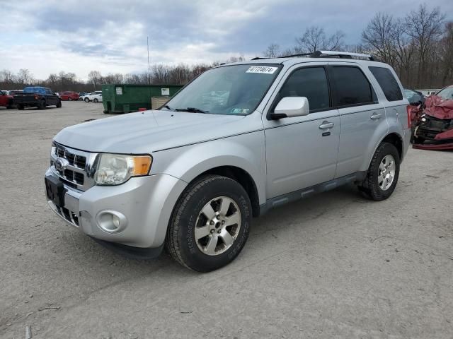 2011 Ford Escape Limited