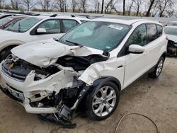 Salvage cars for sale from Copart Bridgeton, MO: 2013 Ford Escape SEL