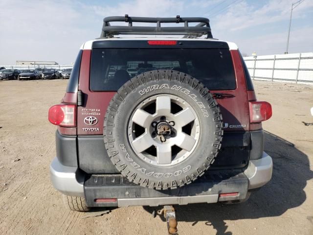 2009 Toyota FJ Cruiser