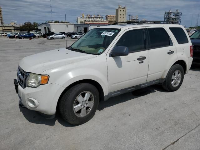 2009 Ford Escape XLT