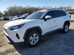 Toyota Rav4 LE salvage cars for sale: 2021 Toyota Rav4 LE