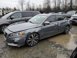 Salvage cars for sale at Waldorf, MD auction: 2019 Nissan Altima SR