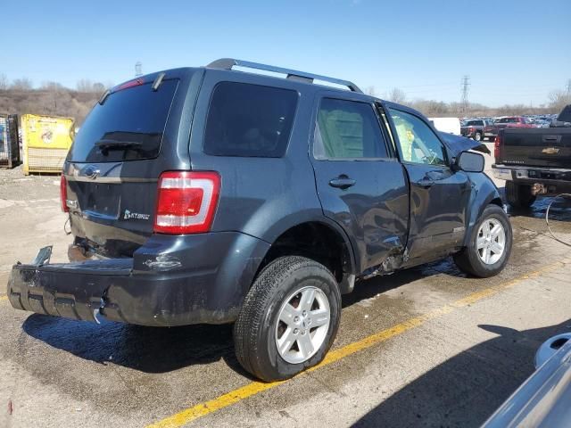 2008 Ford Escape HEV