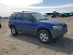 2005 Ford Escape XLT