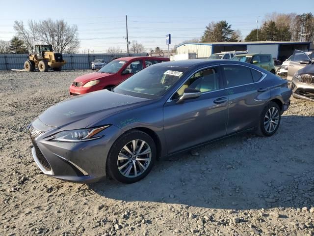 2019 Lexus ES 350