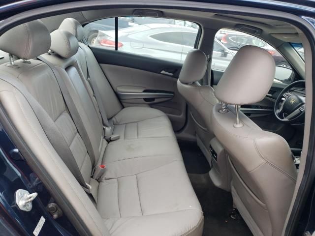 2010 Honda Accord EXL