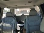 2008 Honda Odyssey EXL