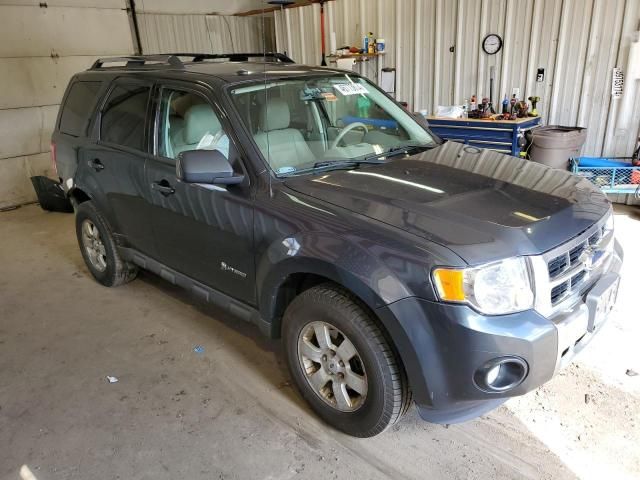 2009 Ford Escape Hybrid