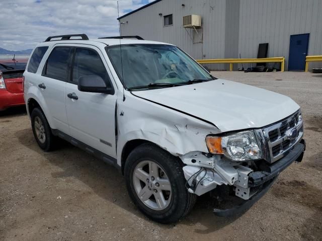 2008 Ford Escape HEV