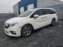 Honda Odyssey exl Vehiculos salvage en venta: 2019 Honda Odyssey EXL