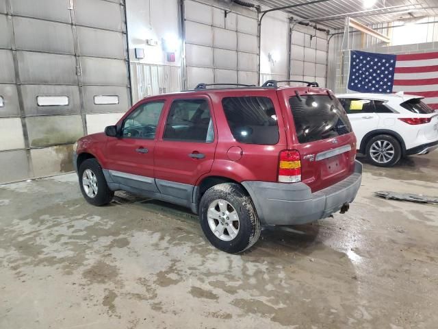 2007 Ford Escape XLT