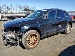 Salvage cars for sale at Spartanburg, SC auction: 2017 Audi Q5 Premium Plus