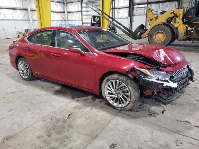 2019 Lexus ES 300H