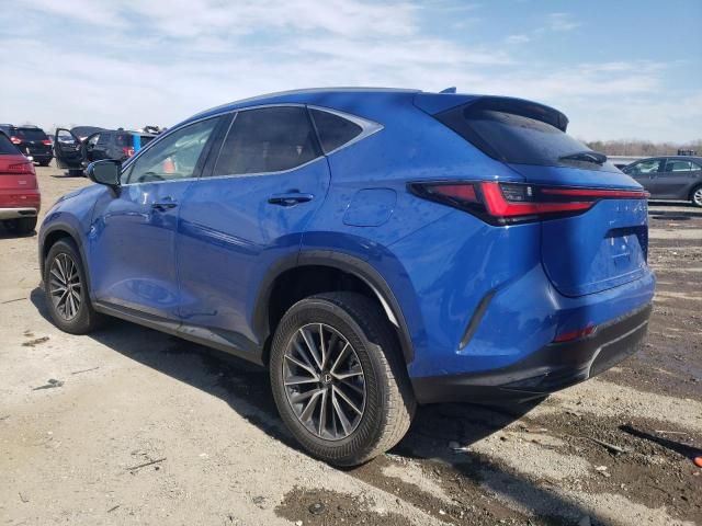 2024 Lexus NX 350 Base