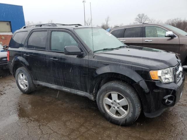 2012 Ford Escape XLT