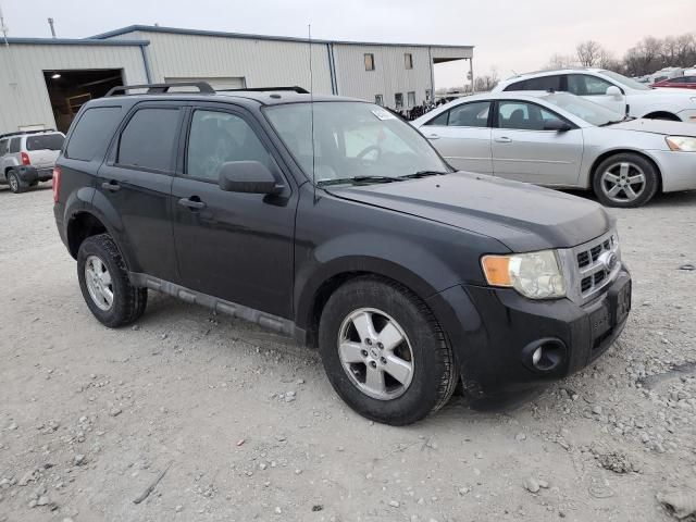 2009 Ford Escape XLT