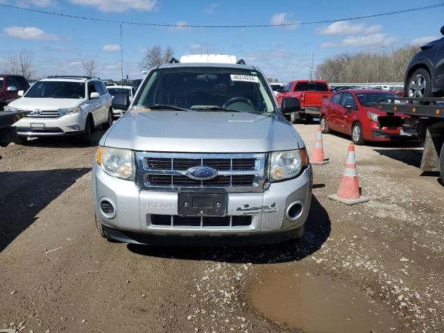 2008 Ford Escape XLS