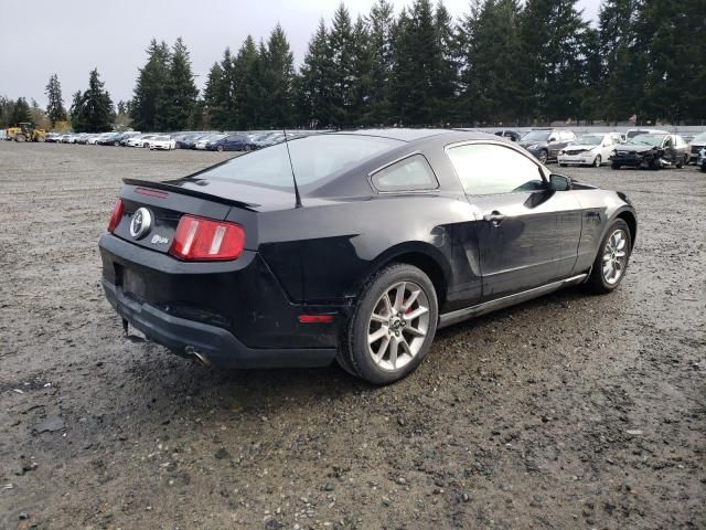 2010 Ford Mustang