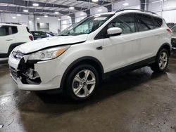 Salvage cars for sale from Copart Ham Lake, MN: 2014 Ford Escape SE