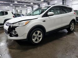 Ford salvage cars for sale: 2014 Ford Escape SE