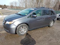 2014 Honda Odyssey EXL en venta en Candia, NH