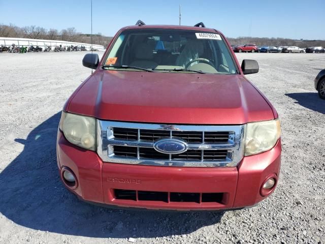 2008 Ford Escape XLT