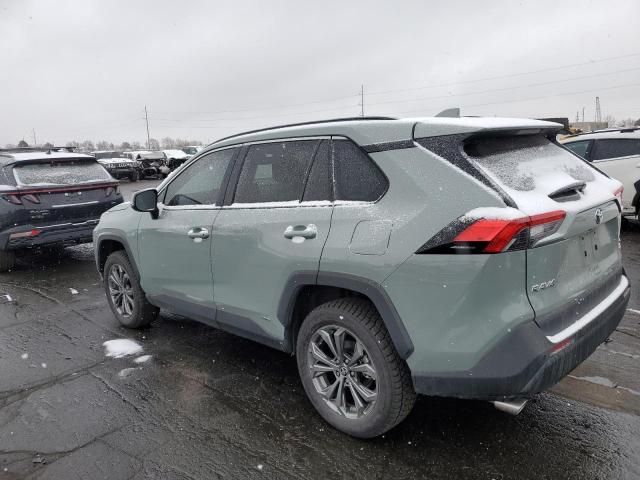 2022 Toyota Rav4 XLE Premium