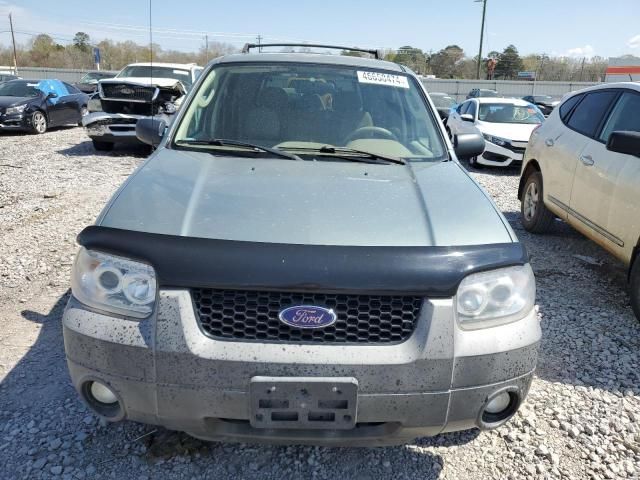2007 Ford Escape XLT