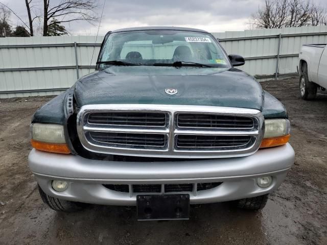 2002 Dodge Dakota SLT