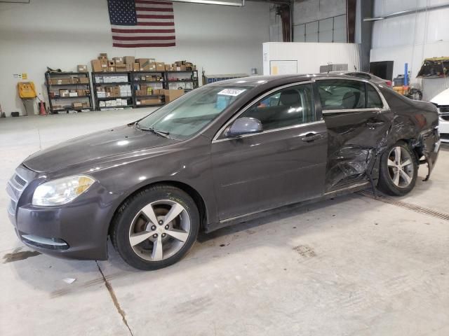 2011 Chevrolet Malibu 1LT