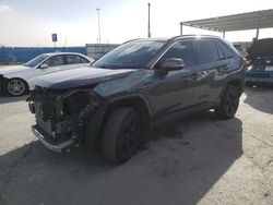 Salvage cars for sale at Anthony, TX auction: 2020 Toyota Rav4 XLE