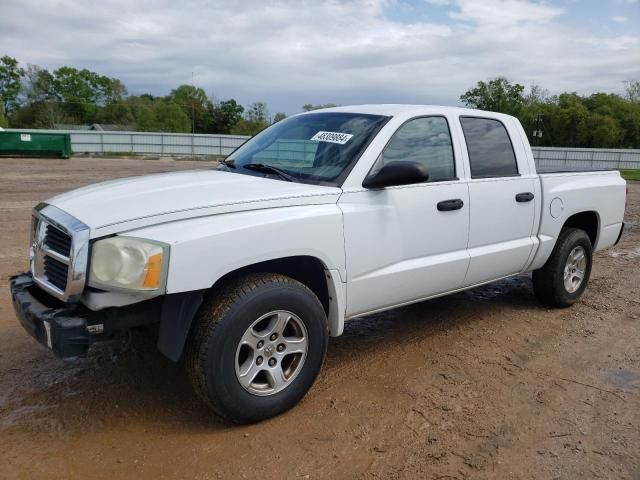 2005 Dodge Dakota Quad SLT