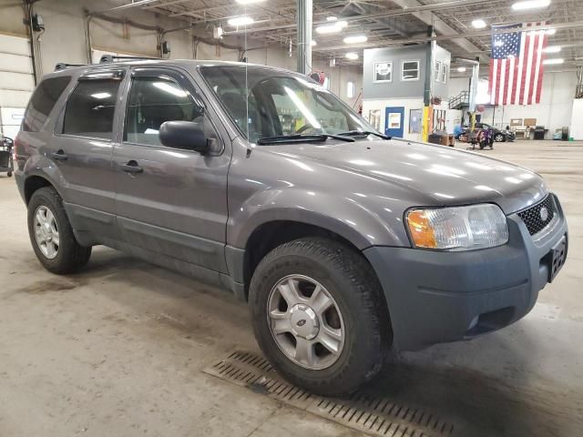 2003 Ford Escape XLT