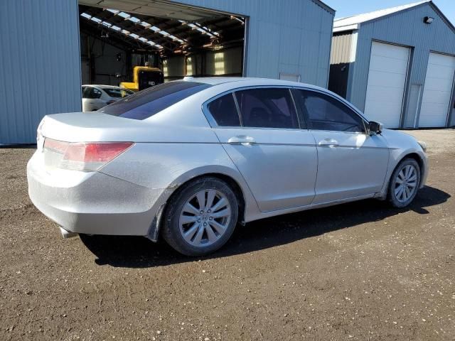 2011 Honda Accord EXL