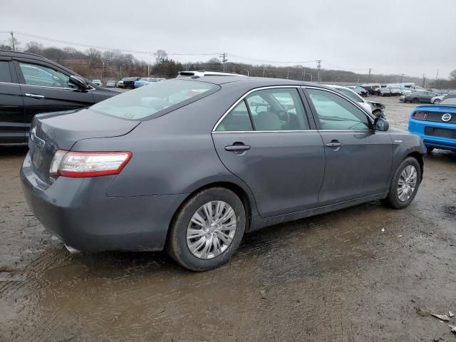 2010 Toyota Camry Hybrid