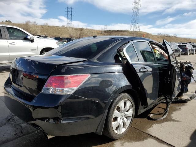 2010 Honda Accord EXL