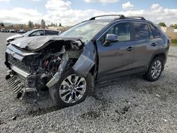 Toyota Rav4 salvage cars for sale: 2021 Toyota Rav4 XLE Premium