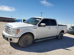 Salvage cars for sale at Andrews, TX auction: 2013 Ford F150 Supercrew