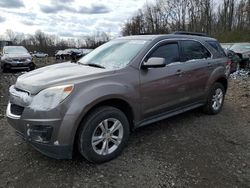 Salvage cars for sale at Ellwood City, PA auction: 2012 Chevrolet Equinox LT