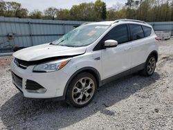 Salvage cars for sale at Augusta, GA auction: 2016 Ford Escape Titanium