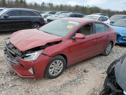 Salvage cars for sale from Copart York Haven, PA: 2019 Hyundai Elantra SE