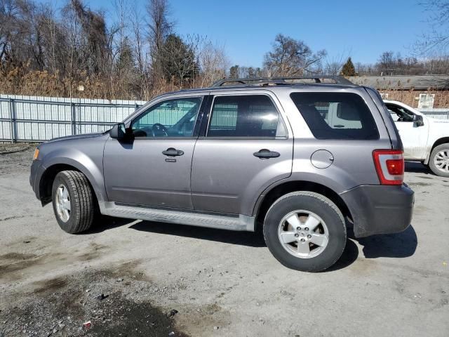 2010 Ford Escape XLT