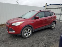 2014 Ford Escape SE for sale in Albany, NY