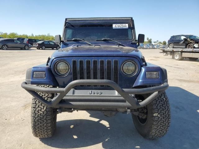 2002 Jeep Wrangler / TJ X