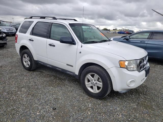 2008 Ford Escape HEV