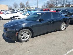 Salvage cars for sale at Moraine, OH auction: 2019 Dodge Charger SXT