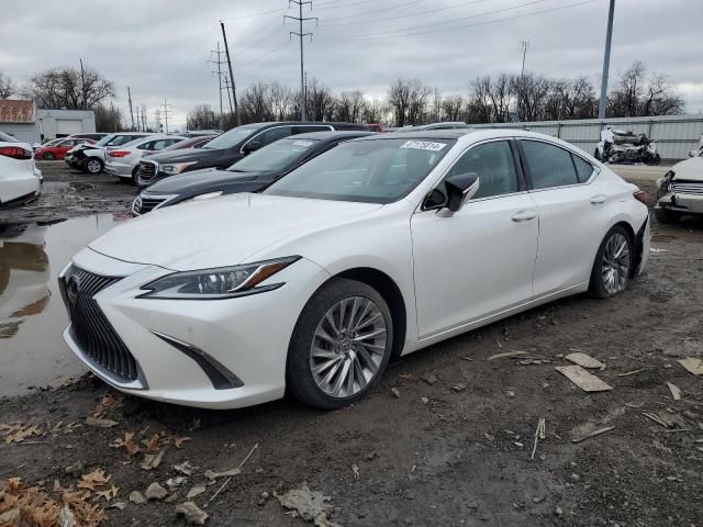 2019 Lexus ES 350