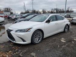 Lexus ES 350 salvage cars for sale: 2019 Lexus ES 350