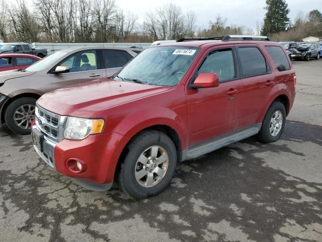 2011 Ford Escape Limited